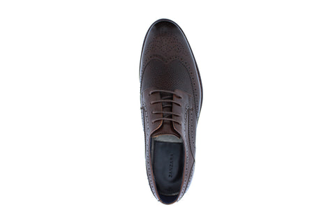 Zanzara Southgate Mens Brown Oxfords & Lace Ups Wingtip & Brogue Shoes